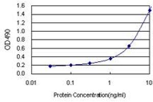 Sandwich ELISA detection sensitivity ranging from 0. (FKBP4 (人) Matched Antibody Pair)
