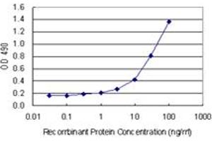 Sandwich ELISA detection sensitivity ranging from 1 ng/mL to 100 ng/mL. (IFI16 (人) Matched Antibody Pair)