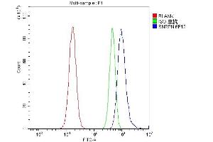 Flow Cytometry analysis of A549 cells using anti-SNRPN antibody (ABIN6719629).