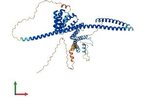 Protein Structure (PS) image for Kinesin Light Chain 1 (KLC1) (AA 1-573) protein (His tag) (ABIN7548817)