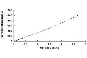 Typical standard curve