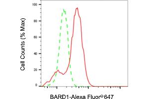 Flow cytometric analysis of BARD1 expression in HepG2 cells using BARD1 antibody (ABIN7797786), 1:2,000). (BARD1 抗体)