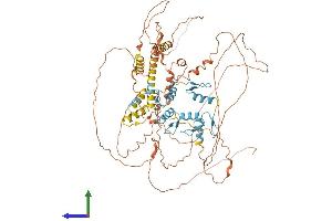 Protein Structure (PS) image for Zinc Finger and BTB Domain Containing 20 (ZBTB20) (AA 1-741) protein (His tag) (ABIN7545424)