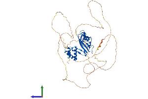 AlphaFold protein structure predicition of Mouse Recombinant Mllt3 Protein, UniprotID A2AM29