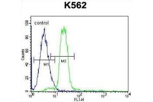 Flow Cytometry (FACS) image for anti-Hemoglobin, alpha 2 (HBa2) antibody (ABIN2932211) (HBa2 抗体)