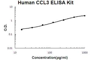 Human MIP-1 alpha Accusignal ELISA Kit Human MIP-1 alpha AccuSignal ELISA Kit standard curve. (CCL3 ELISA 试剂盒)