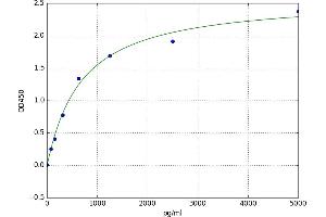 A typical standard curve (IFIH1 ELISA 试剂盒)