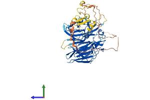 Protein Structure (PS) image for Recombination Activating Gene 2 (RAG2) (AA 1-527) protein (His tag) (ABIN7562961)
