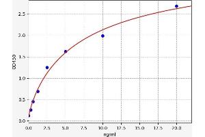 Typical standard curve (AMPK alpha ELISA 试剂盒)