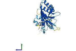 Protein Structure (PS) image for Apolipoprotein B mRNA Editing Enzyme, Catalytic Polypeptide 1 (APOBEC1) (AA 1-229) protein (His tag) (ABIN7563404)