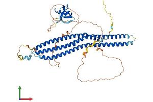 AlphaFold protein structure predicition of Mouse Recombinant Baiap2l1 Protein, UniprotID Q9DBJ3