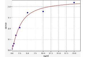 Typical standard curve (MAGEA3 ELISA 试剂盒)
