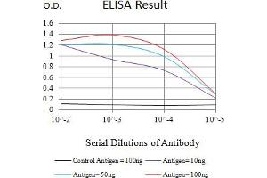 Black line: Control Antigen (100 ng),Purple line: Antigen (10 ng), Blue line: Antigen (50 ng), Red line:Antigen (100 ng) (PLA2G7 抗体  (AA 22-441))