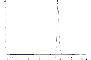 The purity of Human FOLR2 is greater than 95 % as determined by SEC-HPLC.