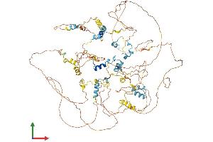 AlphaFold protein structure predicition of Mouse Recombinant Eif4enif1 Protein, UniprotID Q9EST3