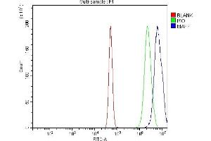 Flow Cytometry analysis of A431 cells using anti-MAFF antibody (ABIN7599317).
