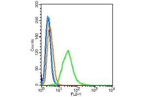 Flow Cytometry (FACS) image for anti-phosphodiesterase 7B (PDE7B) (AA 281-360) antibody (ABIN1386171)