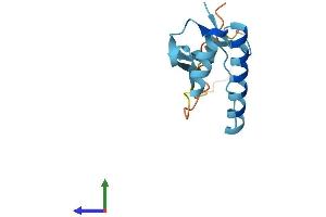 AlphaFold protein structure predicition of Human Recombinant TPT1P8 Protein, UniprotID Q9HAU6