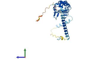 Protein Structure (PS) image for Leucine Rich Repeat Containing 61 (LRRC61) (AA 1-259) protein (His tag) (ABIN7559702)
