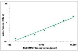 Representative Standard Curve (MMP2 ELISA 试剂盒)