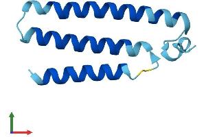 AlphaFold protein structure predicition of Human Recombinant MT-ND4L Protein, UniprotID P03901 (MT-ND4L Protein (AA 1-98) (His tag))