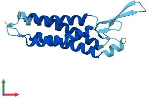 Protein Structure (PS) image for Epithelial Membrane Protein 3 (EMP3) (AA 1-163) protein (His tag) (ABIN7562386)