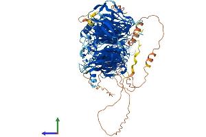 AlphaFold protein structure predicition of Mouse Recombinant Llgl1 Protein, UniprotID Q80Y17 (LLGL1 Protein (AA 1-1036) (His tag))