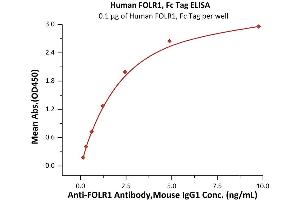 Immobilized Human FOLR1, Fc Tag (ABIN5954996,ABIN6253568) at 1 μg/mL (100 μL/well) can bind A Antibody, Mouse IgG1 with a linear range of 0. (FOLR1 Protein (AA 25-233) (Fc Tag))