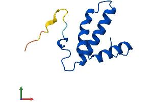 Protein Structure (PS) image for Cytochrome C Oxidase Subunit VIb Polypeptide 2 (Testis) (COX6B2) (AA 1-88) protein (His tag) (ABIN7558461)