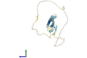 Protein Structure (PS) image for BCL2-Associated Athanogene (BAG1) (AA 1-345) protein (His tag) (ABIN7552555)