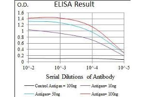 ELISA image for anti-phosphodiesterase 1B, Calmodulin-Dependent (PDE1B) (AA 370-536) antibody (ABIN1724781)