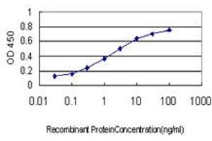 Detection limit for recombinant GST tagged CD99 is approximately 0. (CD99 抗体  (AA 23-122))