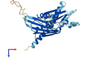EXOSC6 Protein (AA 1-273) (His tag)