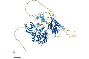 Protein Structure (PS) image for Protein Kinase, AMP-Activated, alpha 1 Catalytic Subunit (PRKAA1) (AA 1-559) protein (His tag) (ABIN7551840)