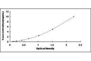 Dexamethasone-Induced Transcript (DEXI) ELISA Kit