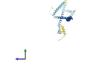 Protein Structure (PS) image for HAUS Augmin-Like Complex, Subunit 4 (HAUS4) (AA 1-363) protein (His tag) (ABIN7558495)