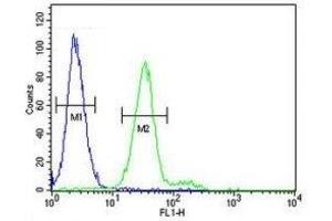 CD117 antibody flow cytometric analysis of 293 cells (green) compared to a negative control cell (blue). (KIT 抗体  (AA 680-711))