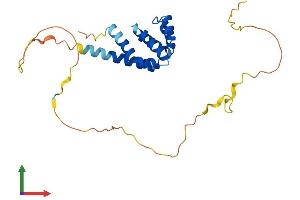 Protein Structure (PS) image for B-Cell CLL/lymphoma 10 (BCL10) (AA 1-233) protein (His tag) (ABIN7552697)