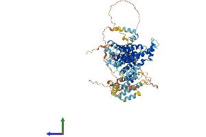 Protein Structure (PS) image for Nucleolar Complex Associated 2 Homolog (NOC2L) (AA 1-747) protein (His tag) (ABIN7565231)