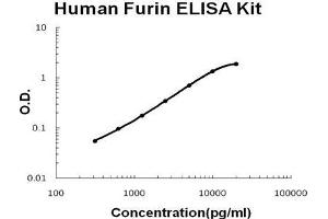 Human Furin PicoKine ELISA Kit standard curve (FURIN ELISA 试剂盒)