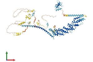 Protein Structure (PS) image for Tuftelin Interacting Protein 11 (TFIP11) (AA 1-837) protein (His tag) (ABIN7555719)
