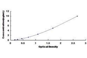 ELISA image for Scleraxis Homolog B (Mouse) (SCXB) ELISA Kit (ABIN1450251)