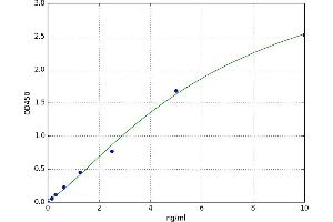 A typical standard curve (NBR1 ELISA 试剂盒)