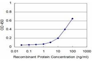 Detection limit for recombinant GST tagged RAB17 is approximately 3ng/ml as a capture antibody. (RAB17 抗体  (AA 1-212))
