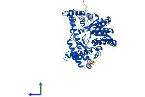 Protein Structure (PS) image for Glutamic Pyruvate Transaminase (Alanine Aminotransferase) 2 (GPT2) (AA 1-523) protein (His tag) (ABIN7552111)