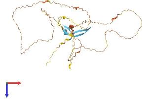 AlphaFold protein structure predicition of Human Recombinant KRTAP29-1 Protein, UniprotID A8MX34