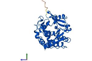 Protein Structure (PS) image for Sulfotransferase Family, Cytosolic, 1A, Phenol-Preferring, Member 2 (SULT1A2) (AA 1-295) protein (His tag) (ABIN7546469)