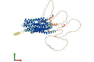 Protein Structure (PS) image for Solute Carrier Family 20 (Phosphate Transporter), Member 1 (SLC20A1) (AA 1-681) protein (His tag) (ABIN7563925)