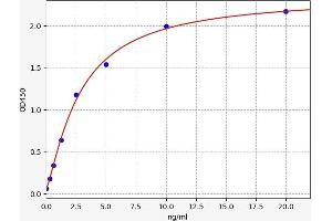 AKT3 ELISA 试剂盒
