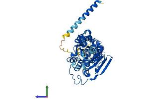 Protein Structure (PS) image for Molybdenum Cofactor Synthesis 3 (MOCS3) (AA 1-460) protein (His tag) (ABIN7554598)